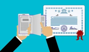 degree or diploma