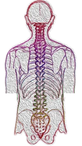 Scoliosis